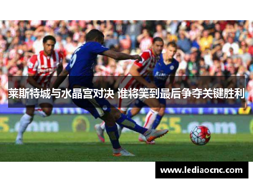 莱斯特城与水晶宫对决 谁将笑到最后争夺关键胜利